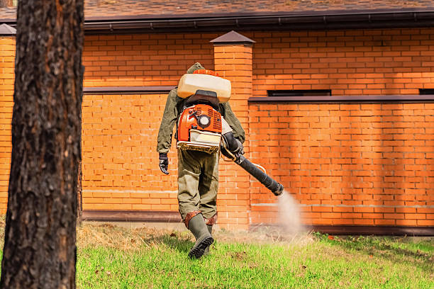 Trusted Bed Bug Control service in Lexington Park, MD - Nex Pest Control